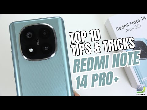 Top 10 Tips