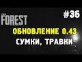The forest - Обновление 0.43 (запоздалый обзор)
