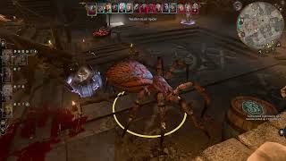 Baldur's Gate 3 - Kill Dror Ragzlin Part 2 #E351