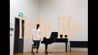 Little life - Robert Gromotka