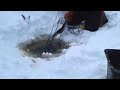 Icefishing in lapland finland