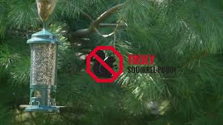 The Squirrel Buster Standard