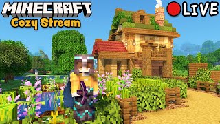 Minecraft Cozy Survival Stream - Let's Do Some Base Maintenance and House Building