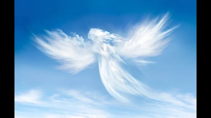 Percy Perry's Memorial Video