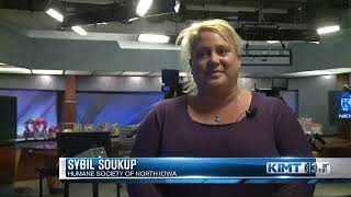 Humane Society of North Iowa reports theft