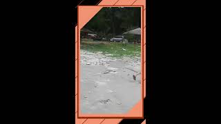 Pantai Kelambu Kudat