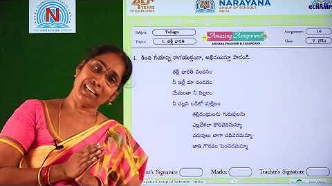 17TH SEP AP & TS CLASS V FL TELUGU AMAZING ASSIGNMENT KEY