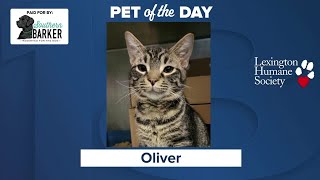 Pet of the Day: Oliver