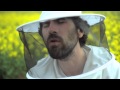 Gruff Rhys - Honey All Over (Official Video)
