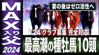 【一口馬主クラブ完全対応】ＭＡＸ活性期の種牡馬10頭2024　生涯最高活性の父を活かす術　でもゼロ活性にはご用心！　【計算する血統】No.209