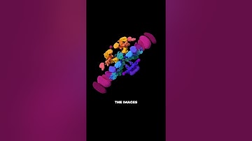 A Complete Map of a Fly Brain