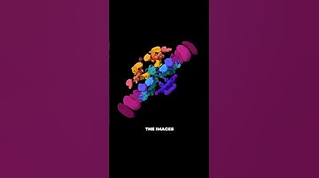 A Complete Map of a Fly Brain