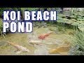 Koi Pond with a Beach!!  Greg Wittstock, The Pond Guy