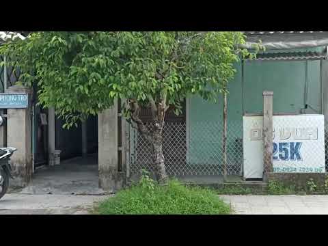 Cây xanh mơn mởn - youtube
