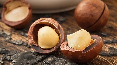 Giá trị dinh dưỡng bất ngờ từ HẠT MACCA