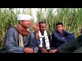 الحاج الضوى طالعه عينه فى القصب