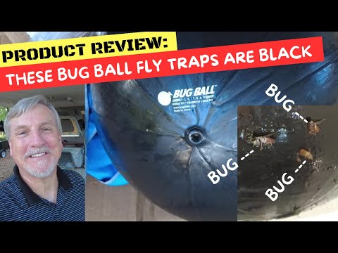 Product Review These Bug Ball Fly Traps Are Black (Getting Rid of Deer Flies)