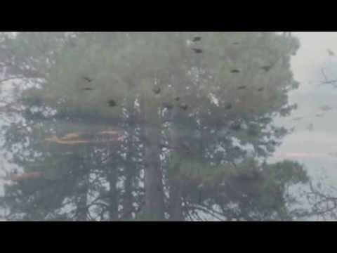 La Cura - Franco Battiato - The care - testo lyrics ...