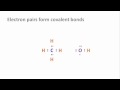 The Chemistry of Life: Unraveling Biochemical Principles and Key Elements