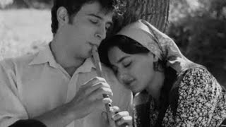 Soyuq Günəş Filmiali Cabbar