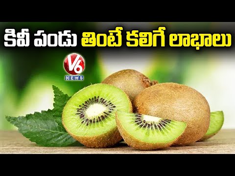 కివి ఫ్రూట్ ఆరోగ్య ప్రయోజనాలు | సూపర్ ఫుడ్స్ | V6 వార్తలు