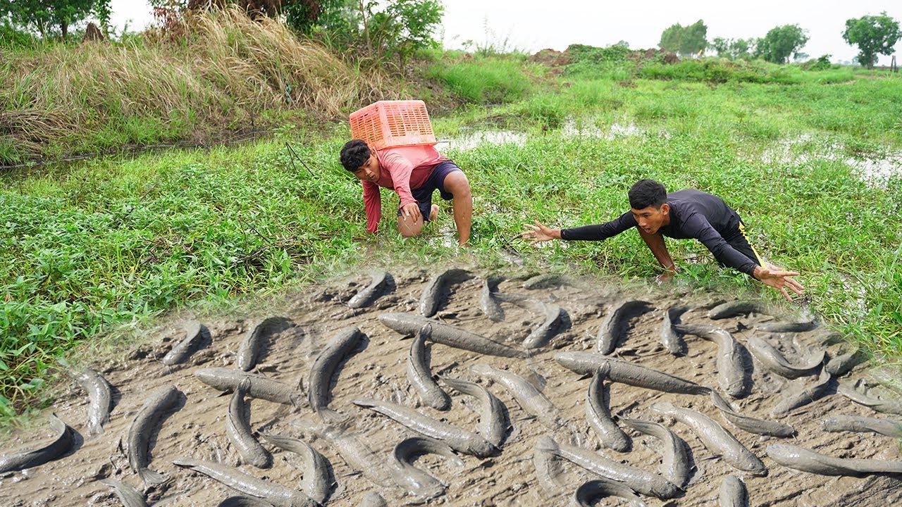 Amazing Fishing After Rainy Season Coming - Fishing By Hand - Best Fishing Video