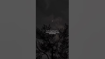 ويا قوم مالي ادعوكم الى النجاة وتدعونني الى النار ، ياسر الدوسري سورة غافر