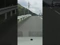 懐旧、舟木一夫さん「杉の木峠の別れ」。今日は岐阜県池田町ふれあい街道に来ました〜、左右のお茶の木の新芽が綺麗ですね〜。