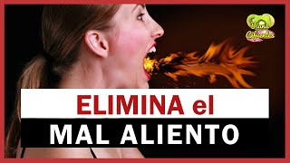 Vinagre De Manzana Para El Mal Aliento