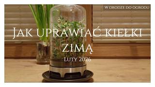 Jak Uprawiać Kiełki Zimą Luty 2026