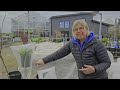 How To Use Frost Cloth for Plant Protection