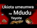 Tafsiri Za Ndoto 49 Episode 15 Ndoto Za Kuumwa Ukiota Umeumwa Na Mdudu Mguuni By Pastor Regan 
