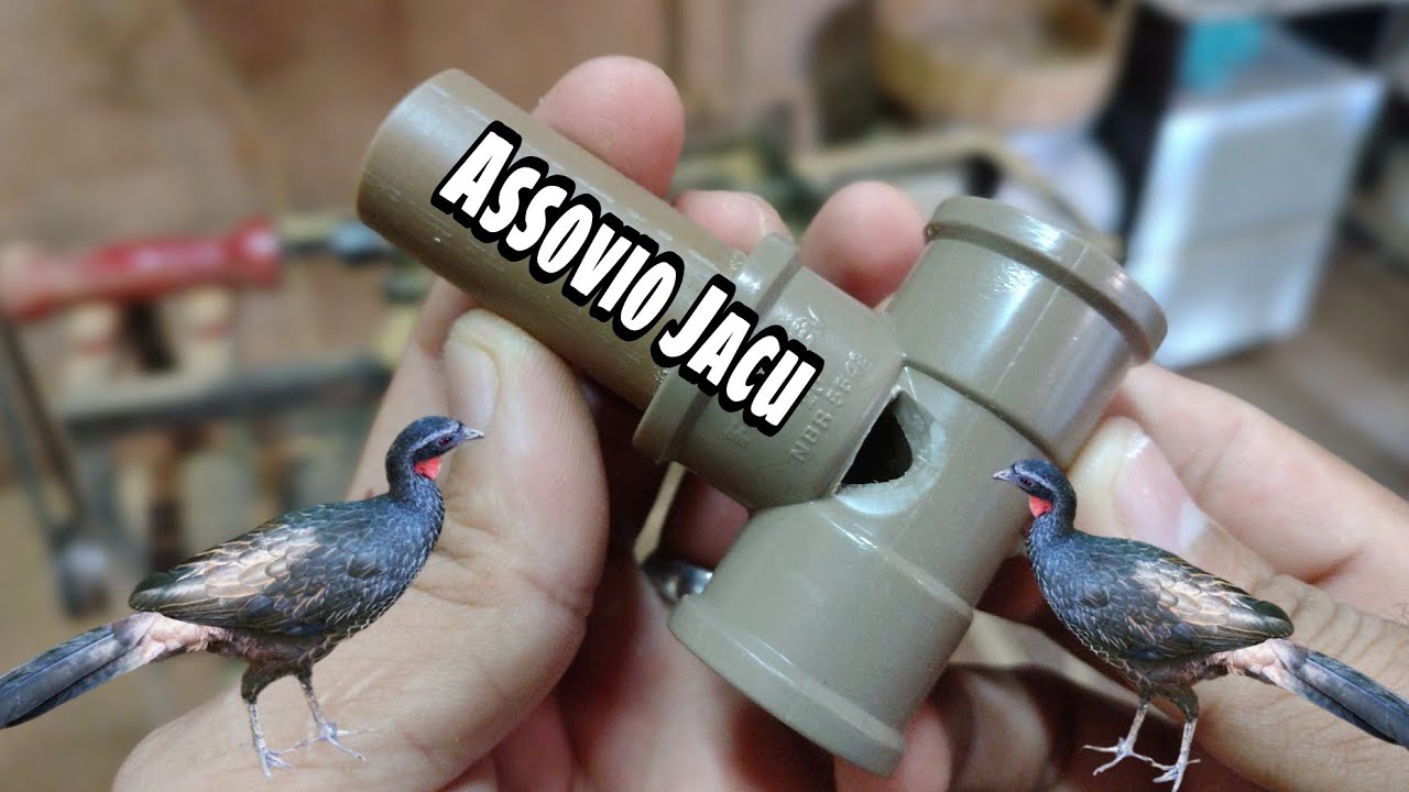 COMO FAZER CHAMA DO ASSOVIO DO JACU MODELO 