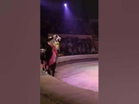 Донецкий цирк космос - YouTube
