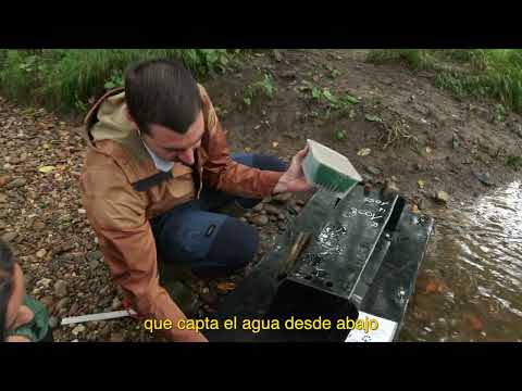 Balsas de huellas
