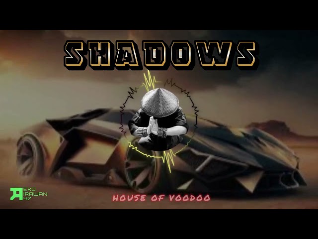 DJ SHADOWS | HOUSE OF VOODOO | DJ BARAT REMIX BREAKBEAT class=