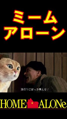 ミームアローン  #猫ミーム  #声真似 #shorts   #homealone   #ホームアローン