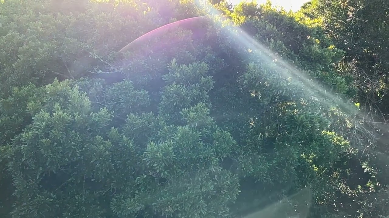 Apple iPhone 14 Slow Motion iMovie edit. Music made with Korg Oasys & Logic Pro for iPad