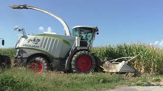 Maishäckseln 2019  CLAAS Jaguar 970 &amp; ORBIS 10 Reihen  Fendt Vario 716  Brantner POWER TUBE
