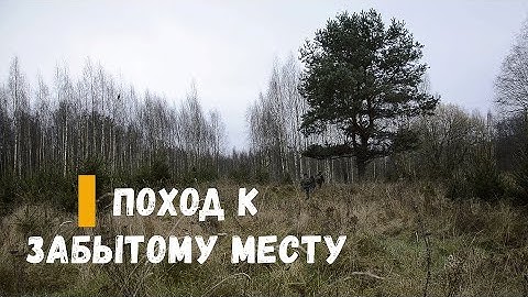 Сюда никто не ходит. Через болото. Исчезнувшие деревни. Поход в лес.