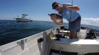 Fenwick Shoals Delaware Wreck Fishing 2026 Full Episode