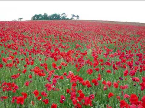 Benjamin Britten Owen Wingrave Benjamin Britten Owen Wingrave