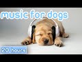 Soft Rock &amp; Jazz Dog Music | Dog Therapy Music Beats 🎵 20 Hours Anti Anxiety Relax My Dog Music