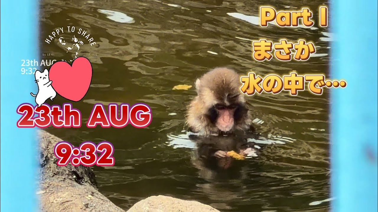 さる 2点おまとめ さる 2点おまとめ さる 2点おまとめ ゼクス イル