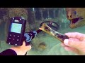 CAGE Dive with Moray EELS!! Found Expensive Jewelry, Money &amp; Bones!!