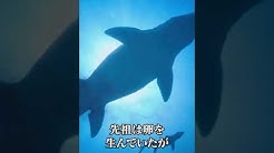Nhk