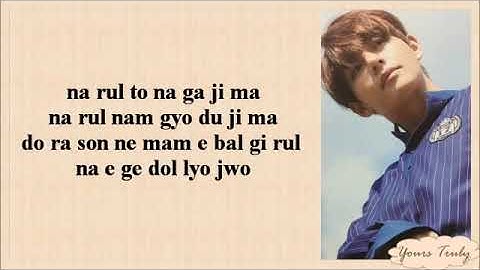 BTS 방탄소년단 Jin & V   