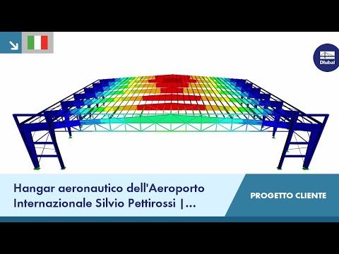 Video: Guida Aeroporto Internazionale Silvio Pettirossi