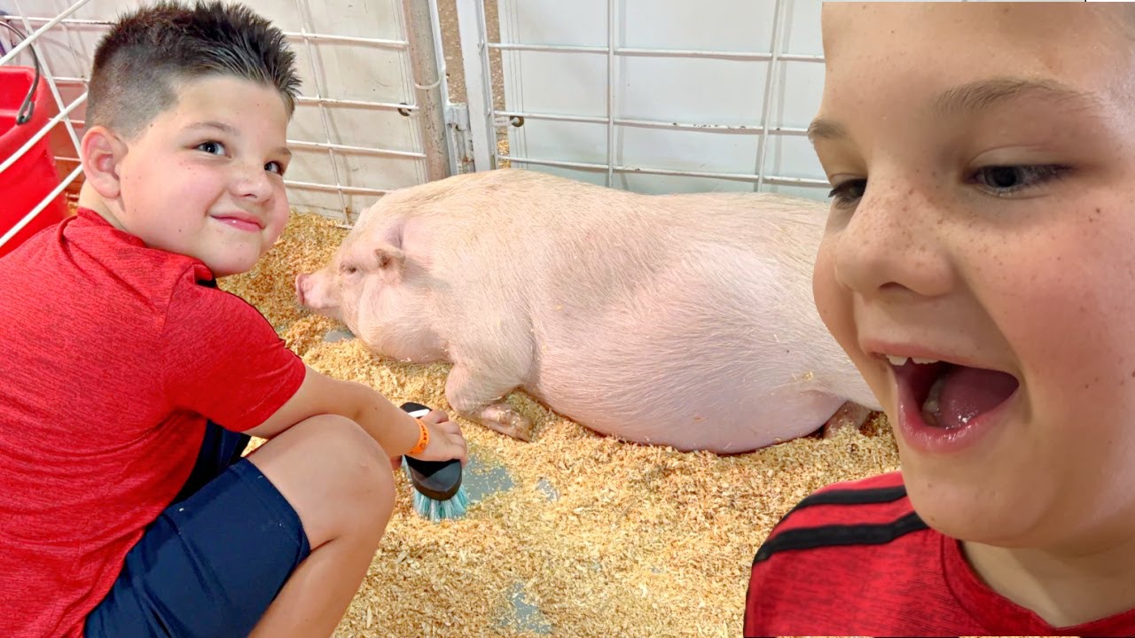 BEST PETTING ZOO Caleb Learns To To Feed And Take Care Of Farm Animals BEST PETTING ZOO Caleb Learns To To Feed And Take Care Of Farm Animals
