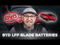 BYD LFP Blade Batteries // BYD Qin // BYD Tang